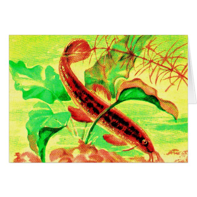 väderleksfisk OBS kort (Framsidan Horizontal)