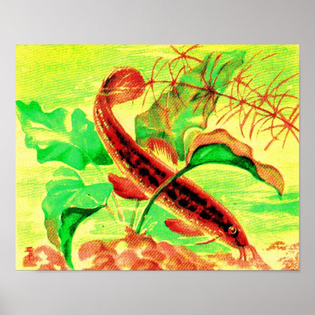 väderleksfisk poster (Framsidan)