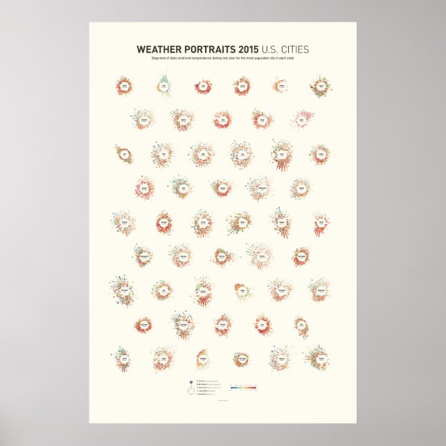 Väderporträtt 2015: USA:s städer Poster (Framsidan)