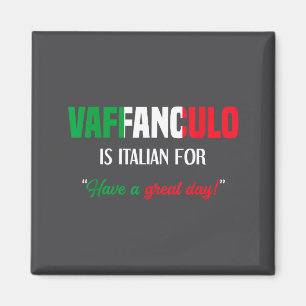 Vaffanculo Day Uttalande Har Italienska Magnet