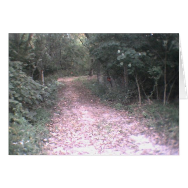 väg av liv hälsningskort (Framsidan Horizontal)