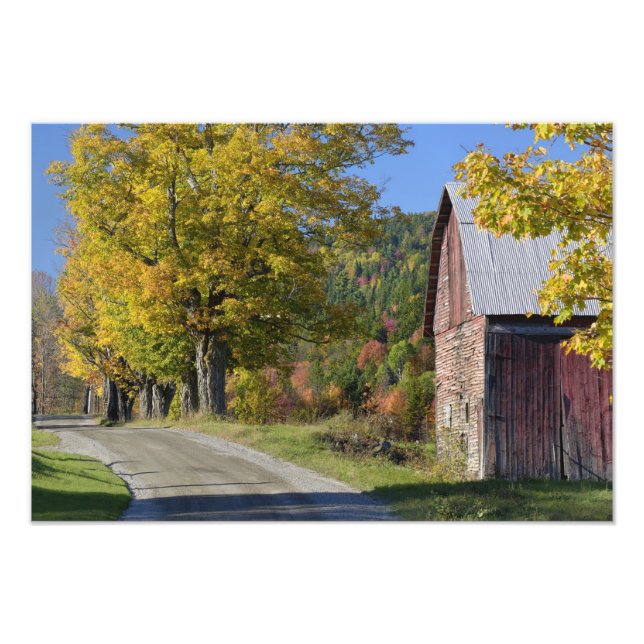 Väg bredvid klassisk lantlig lada/gård hösten, 2 fototryck (Framsidan)