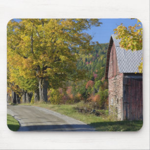 Väg bredvid klassisk lantlig lada/gård om hösten, musmatta