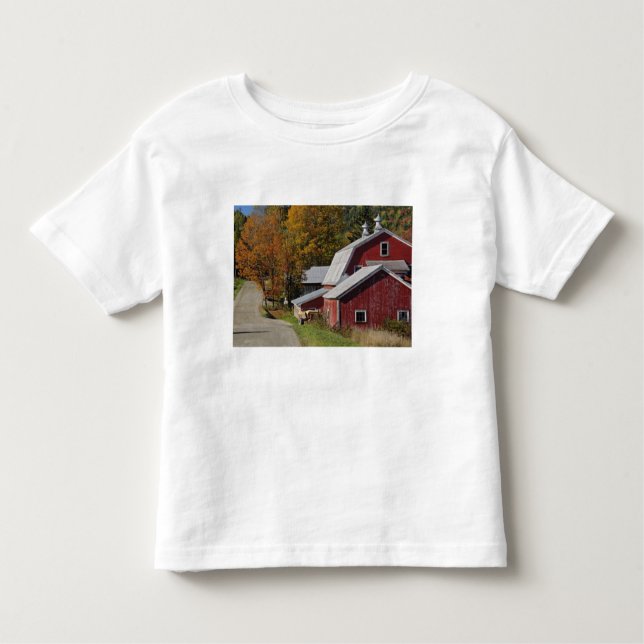 Väg bredvid ladugård/lantgård för klassiker t-shirt (Framsida)