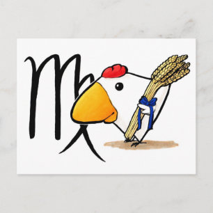 Våg Chicken vykort