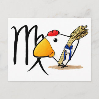 Våg Chicken vykort