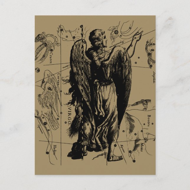 Våg Constellation Hevelius Etching Stil Vykort (Framsida)