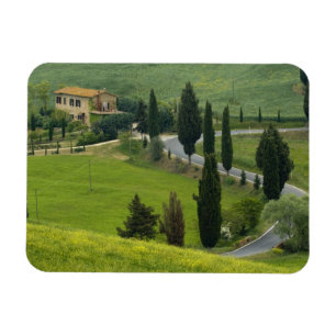 Väg från Pienza till Montepulciano, 2 Magnet