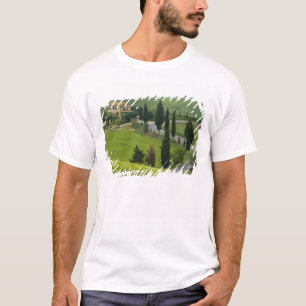 Väg från Pienza till Montepulciano, 2 Tee