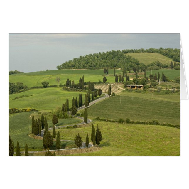 Väg från Pienza till Montepulciano. Hälsningskort (Framsidan Horizontal)
