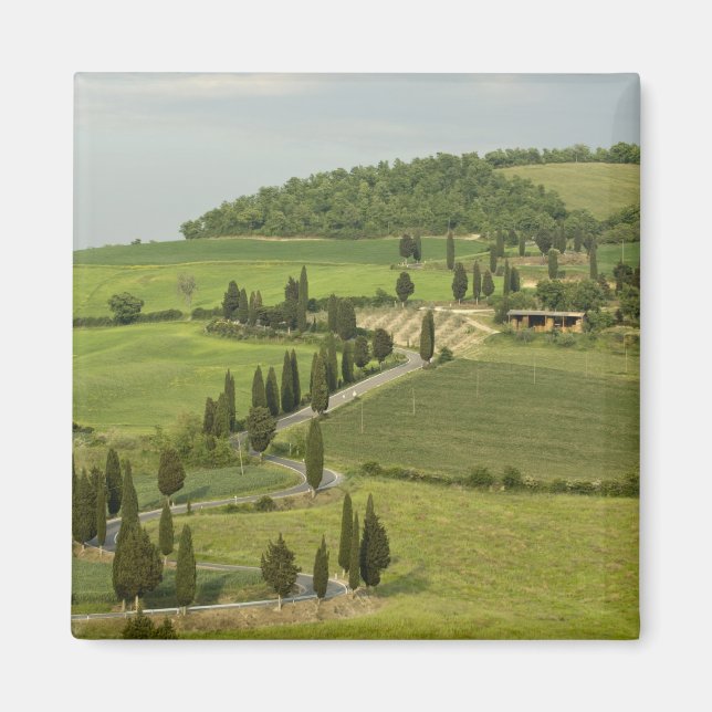 Väg från Pienza till Montepulciano. Magnet (Framsidan)