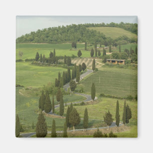 Väg från Pienza till Montepulciano, Magnet