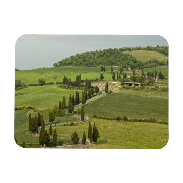Väg från Pienza till Montepulciano. Magnet (Horisontell)