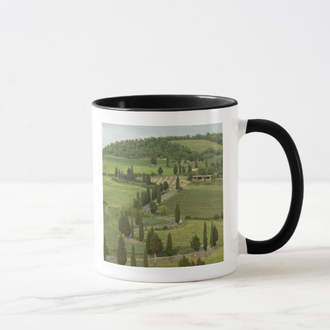 Väg från Pienza till Montepulciano, Mugg (Höger)