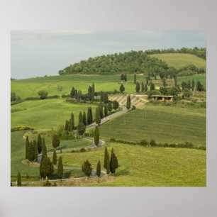 Väg från Pienza till Montepulciano, Poster