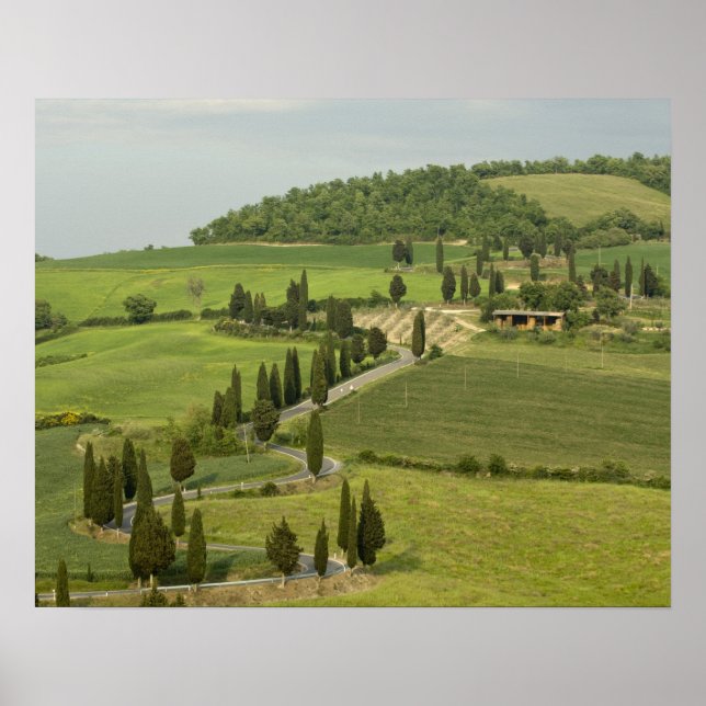Väg från Pienza till Montepulciano. Poster (Framsidan)