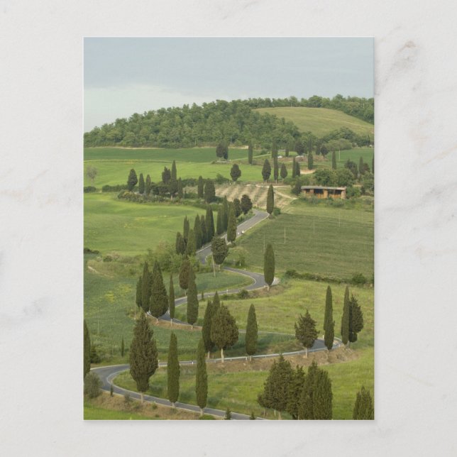 Väg från Pienza till Montepulciano. Vykort (Framsida)