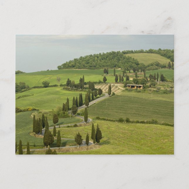 Väg från Pienza till Montepulciano, Vykort (Framsida)