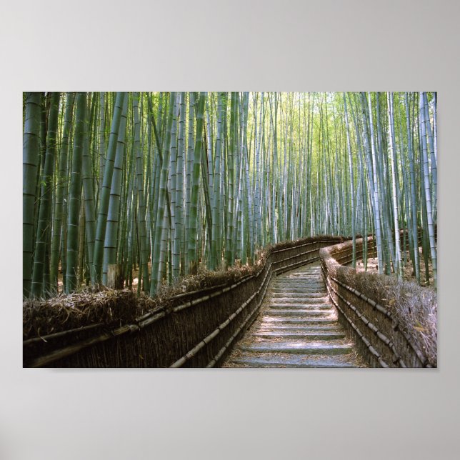 Väg genom Bamboo: Kyoto, Japan Poster (Framsidan)