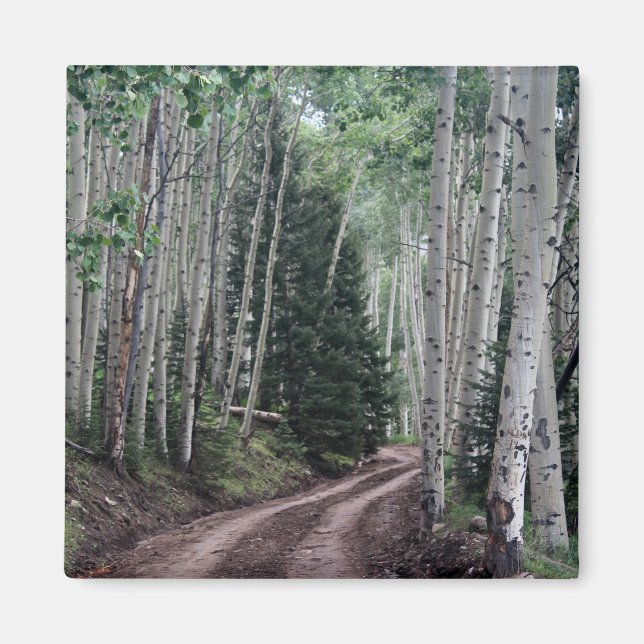 Väg genom Birch Magnet (Framsidan)