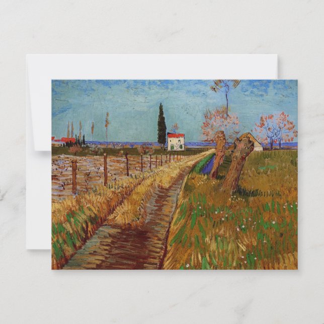 Väg genom en åker, videbuskar av Vincent van Gogh (Framsida)