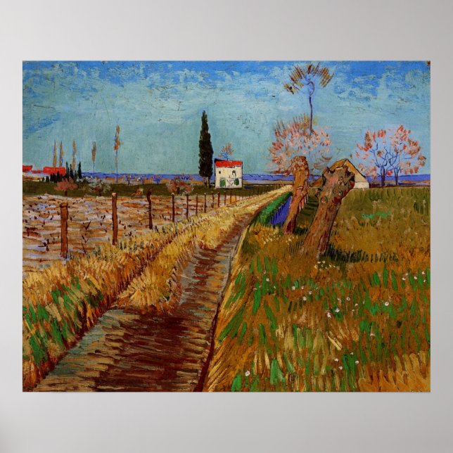 Väg genom en åker, videbuskar av Vincent van Gogh Poster (Framsidan)