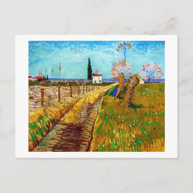Väg genom ett Fält med Willows Van Gogh Vykort (Framsida)