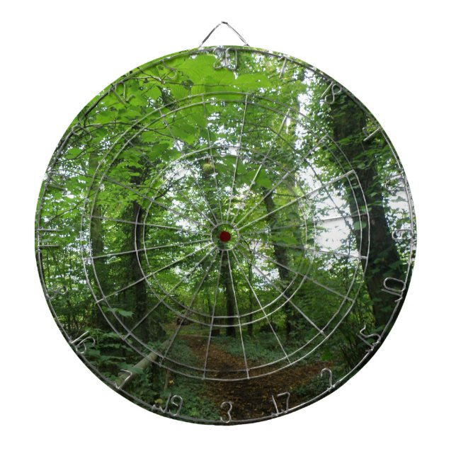 Väg genom Grönt Forest Dart Board Darttavla (Framsidan)