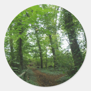 Väg genom Grönt Forest Stickers Runt Klistermärke