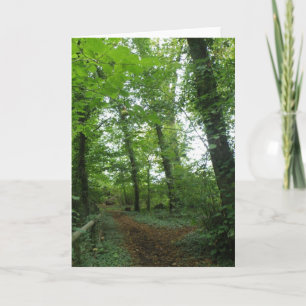 Väg genom Grönten Forest Greeting Card Kort