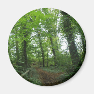 Väg genom Grönten Forest Magnet
