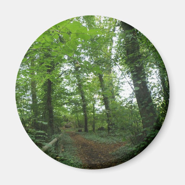 Väg genom Grönten Forest Magnet (Framsidan)