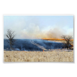 Väg genom Prairie Burn 24 x 16 Fototryck