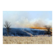 Väg genom Prairie Burn 24 x 16