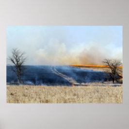 Väg genom Prairie Burn 24 x 16 Poster