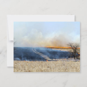 Väg genom Prairie Burn 24 x 16 Vykort