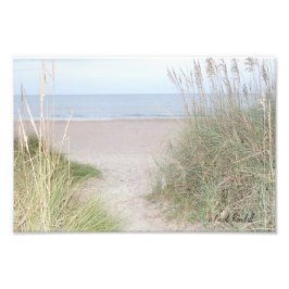 Väg genom sanddyner fototryck