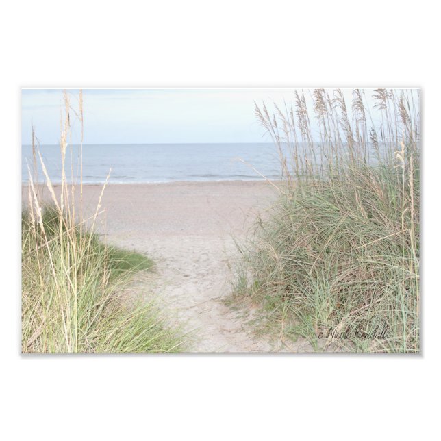 Väg genom sanddyner fototryck (Framsidan)