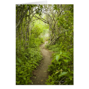 Väg genom skogen hälsningskort