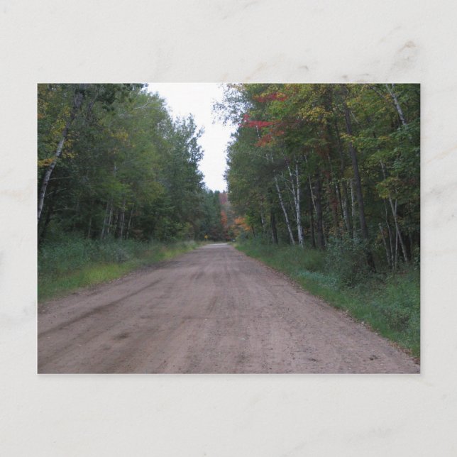 Väg genom skogen vykort (Framsida)