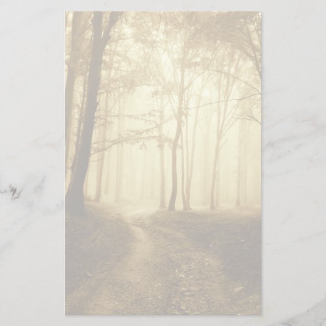 Väg i en mörk med dimma brevpapper (Framsida)