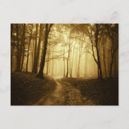 Väg i en mörk med dimma vykort