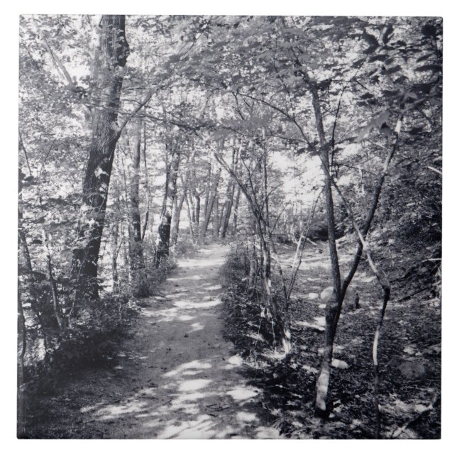 Väg i Faith Kakelplatta (Framsidan)