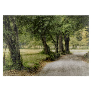 VÄG i LAND