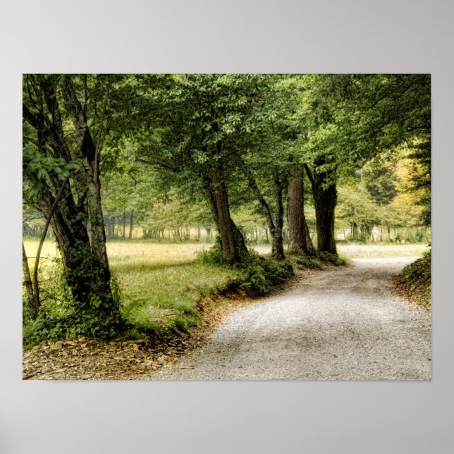 VÄG i LAND Poster (Framsidan)