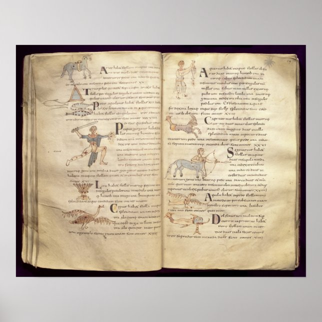 Väg i måne över konstellationerna poster (Framsidan)