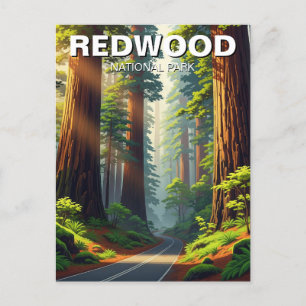 Väg i nationalparken Redwood Vykort