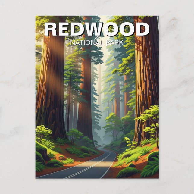 Väg i nationalparken Redwood Vykort (Framsida)