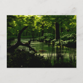 Väg i peacefulness Postcard Vykort