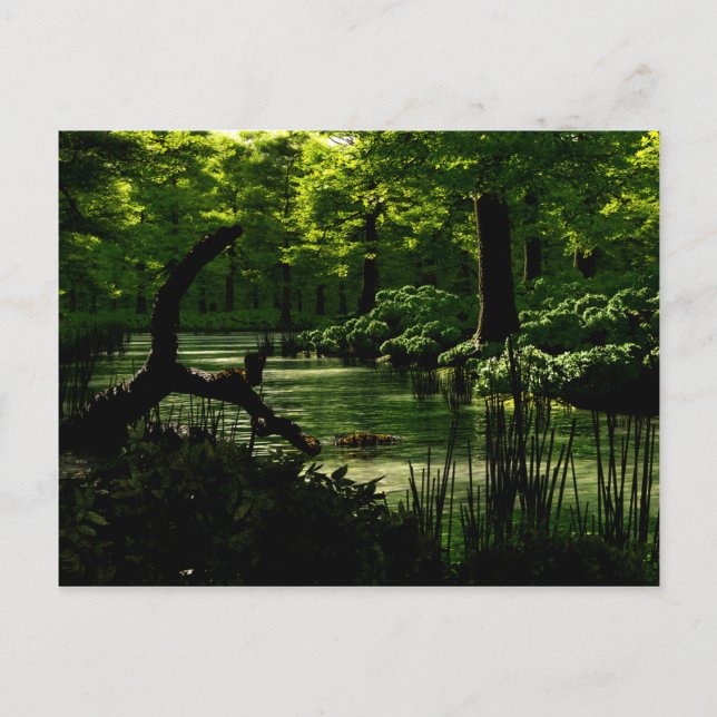 Väg i peacefulness Postcard Vykort (Framsida)